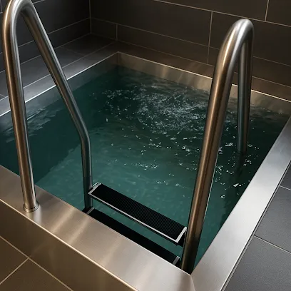 Image de AstierWellness | Sauna Exclusive Line - Spa - Steam Room - Stainless Steel Pool - Ice Bath - Ice Room