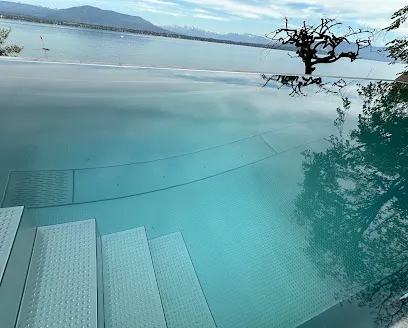 Image de Designo Piscines Suisse - le spécialiste de la piscine en inox
